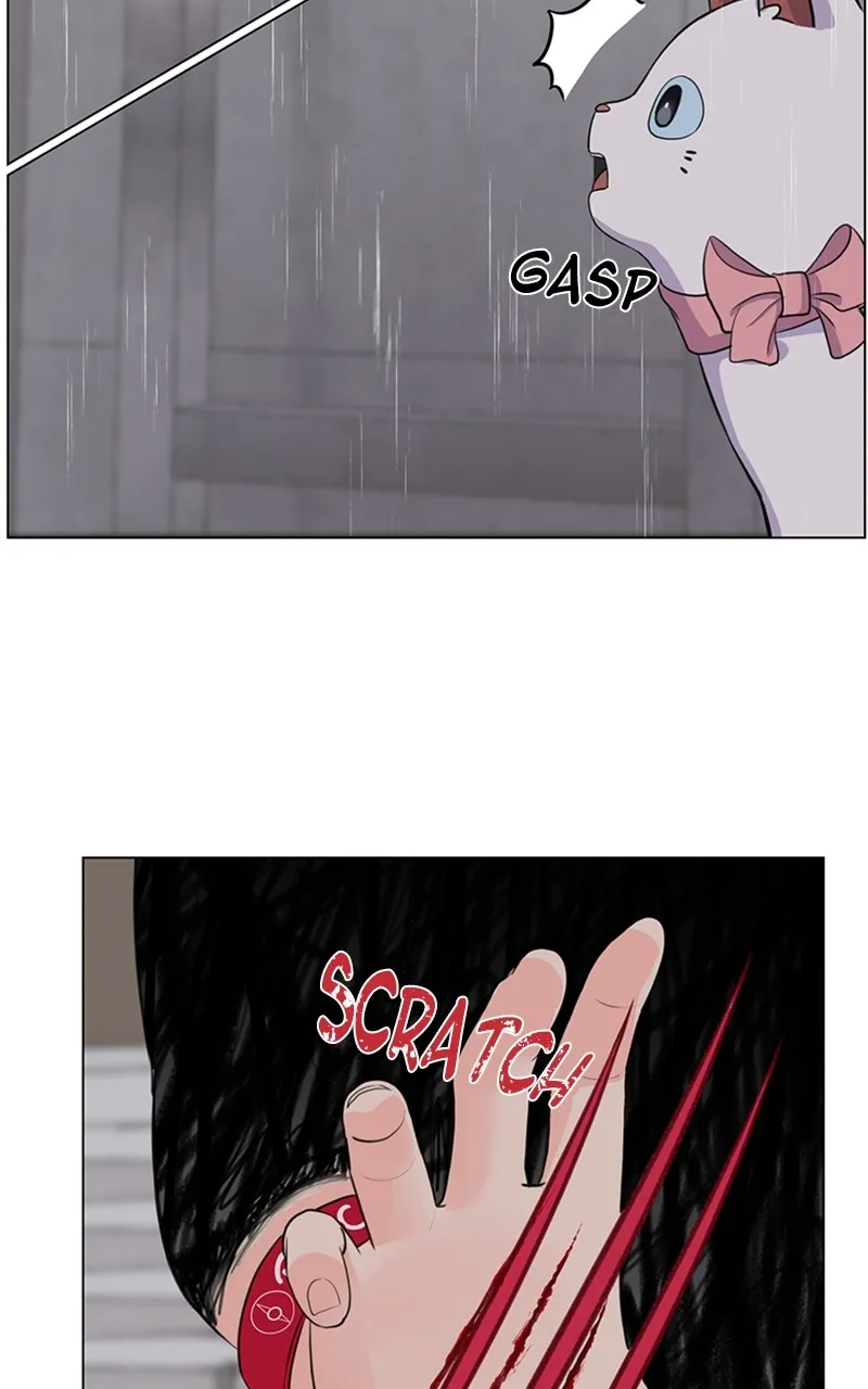 Kiss Meow Chapter 2 page 52 - 