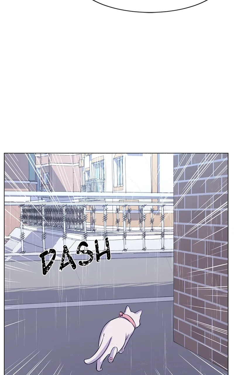 Kiss Meow Chapter 2 page 57 - 