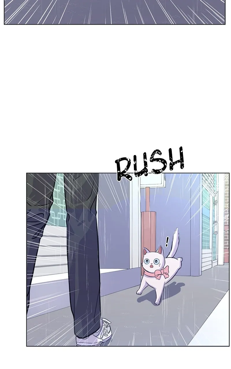 Kiss Meow Chapter 2 page 58 - 