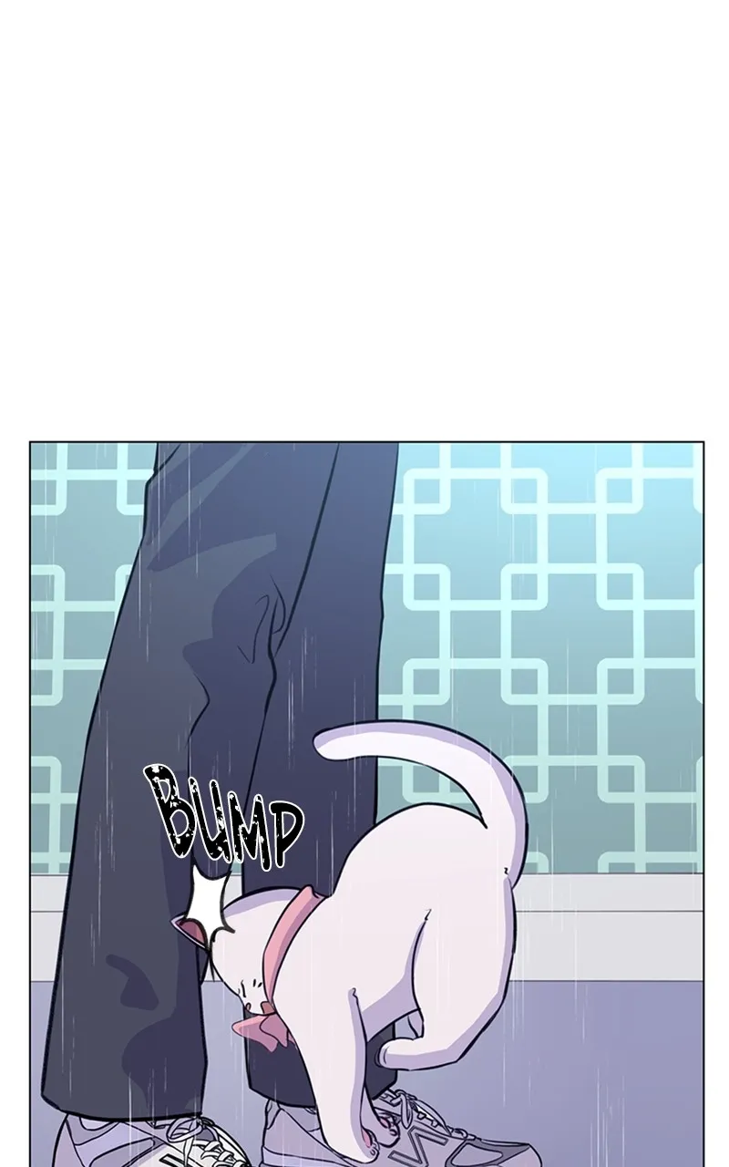 Kiss Meow Chapter 2 page 59 - 