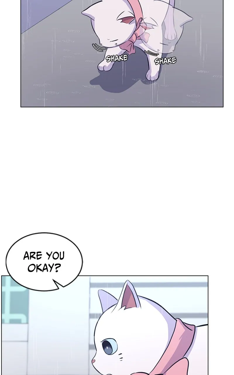 Kiss Meow Chapter 2 page 61 - 