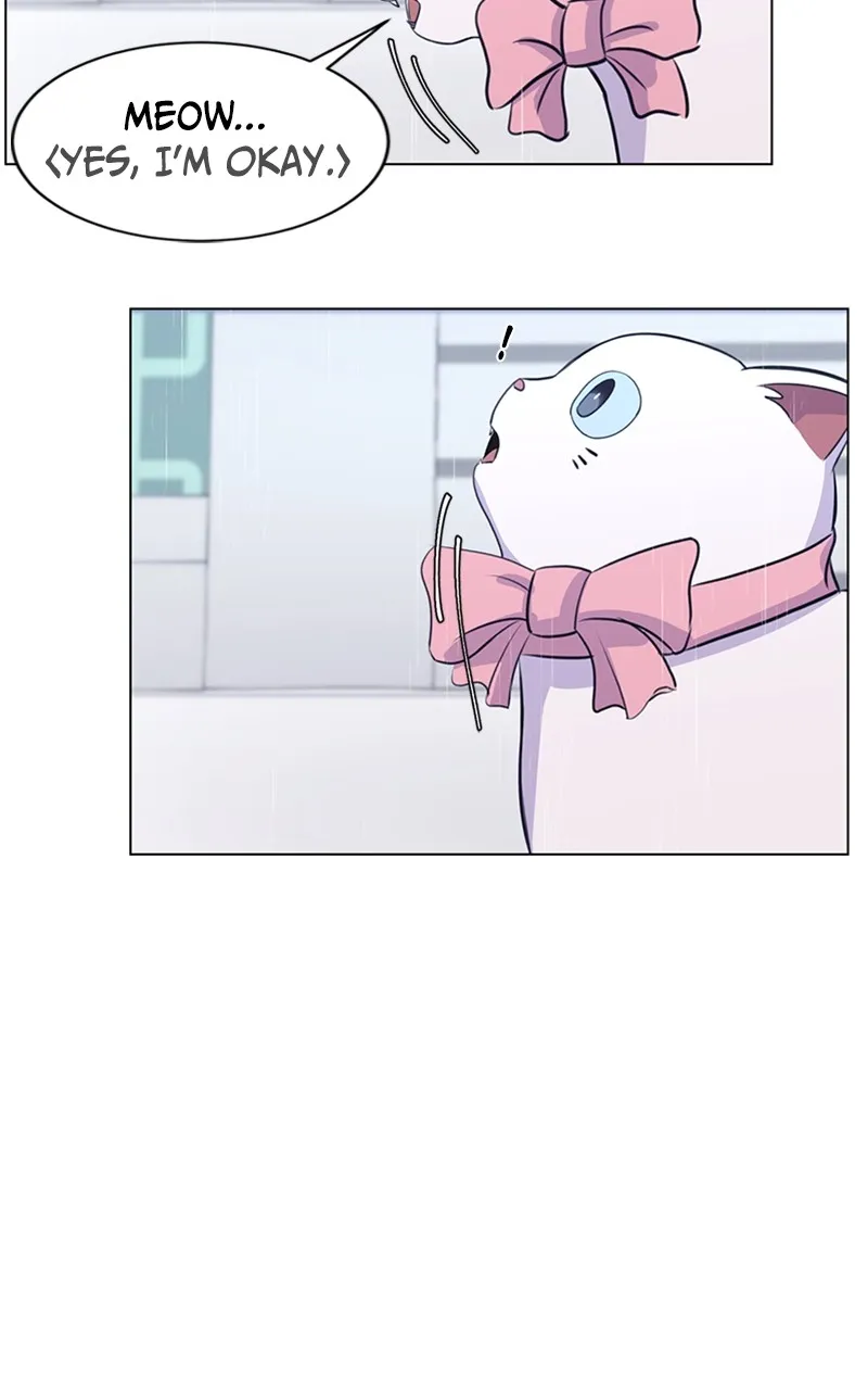 Kiss Meow Chapter 2 page 62 - 