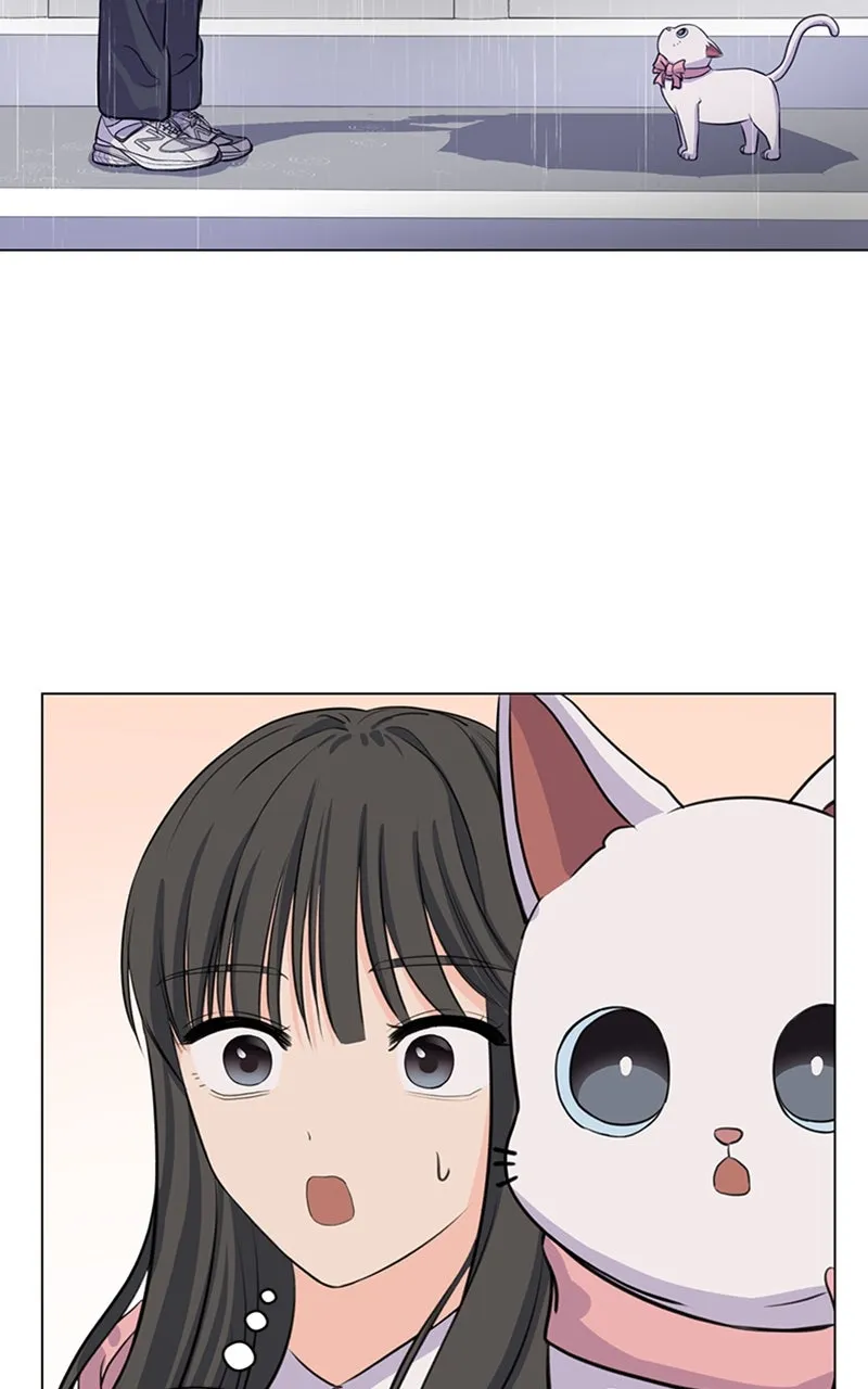 Kiss Meow Chapter 2 page 66 - 