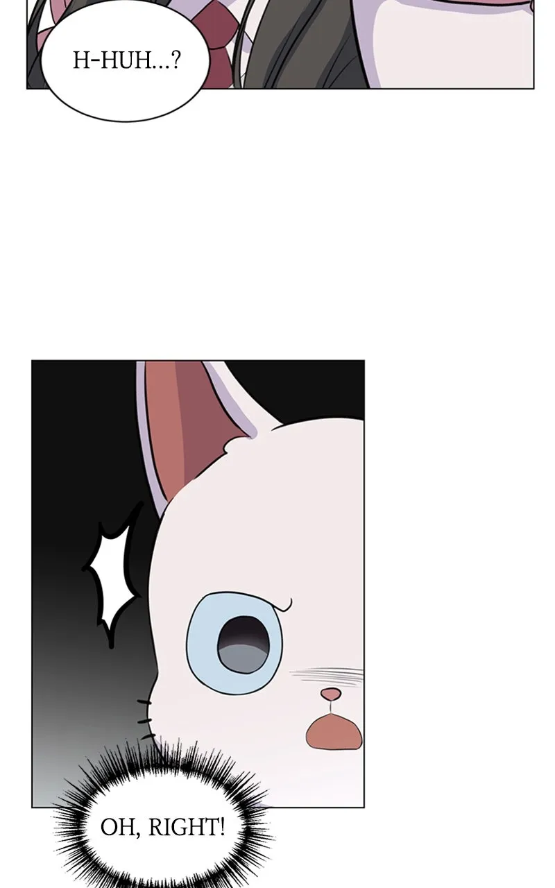 Kiss Meow Chapter 2 page 67 - 