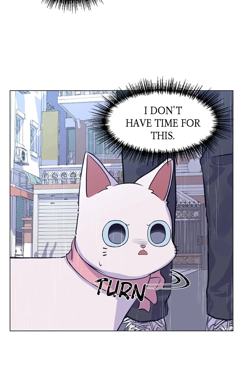 Kiss Meow Chapter 2 page 68 - 