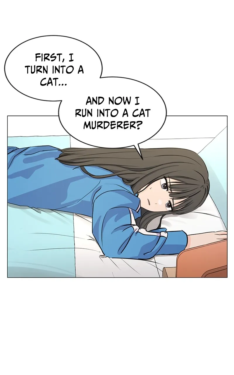 Kiss Meow Chapter 2 page 79 - 