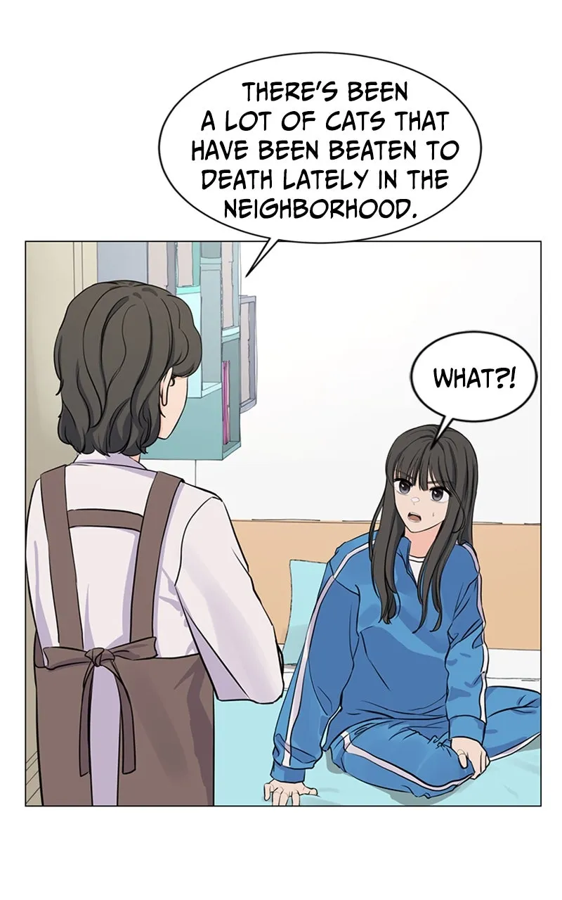 Kiss Meow Chapter 2 page 85 - 