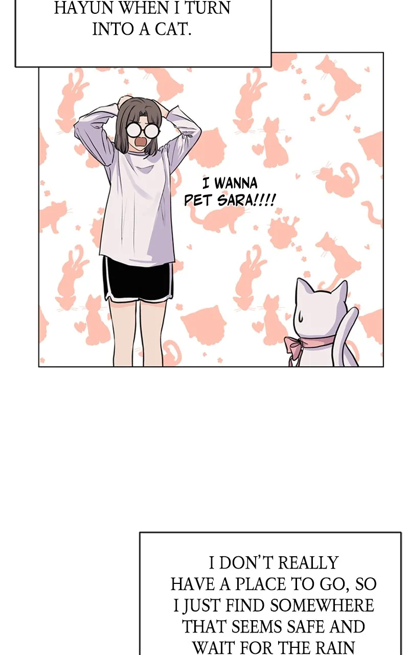 Kiss Meow Chapter 5 page 46 - 