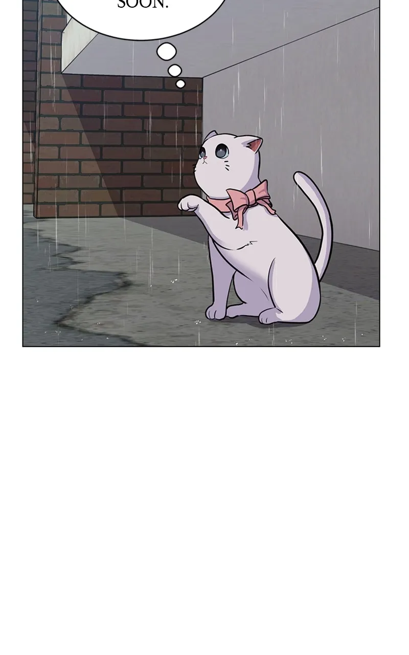 Kiss Meow Chapter 5 page 48 - 