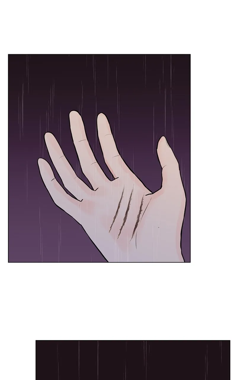 Kiss Meow Chapter 5 page 50 - 