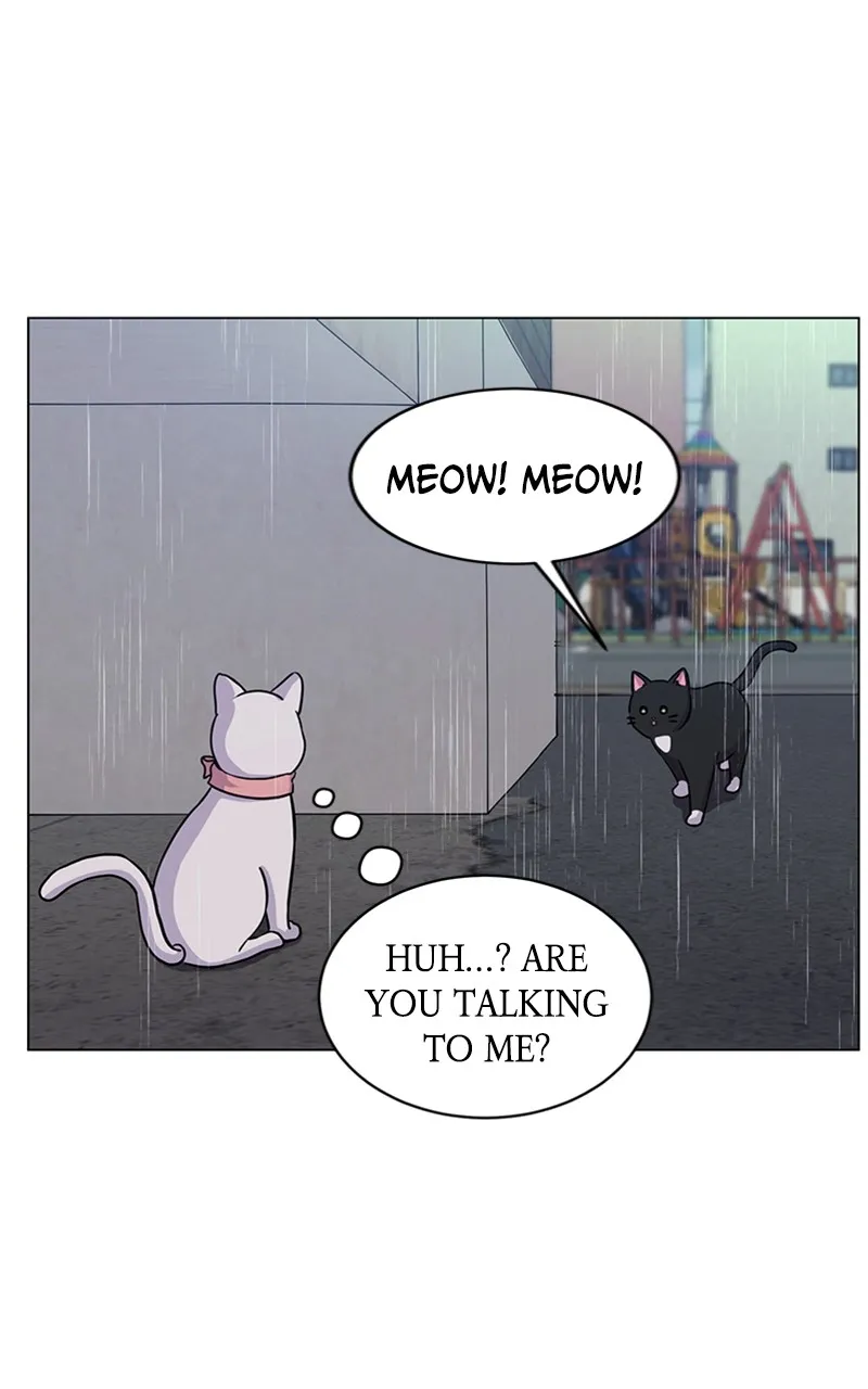 Kiss Meow Chapter 5 page 54 - 