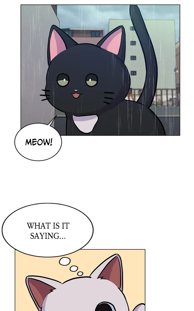 Kiss Meow Chapter 5 page 55 - 