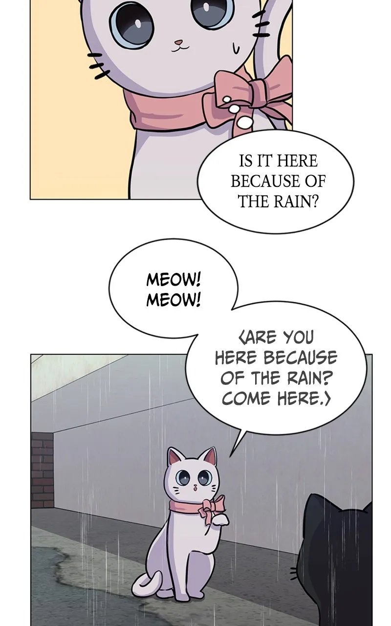 Kiss Meow Chapter 5 page 56 - 