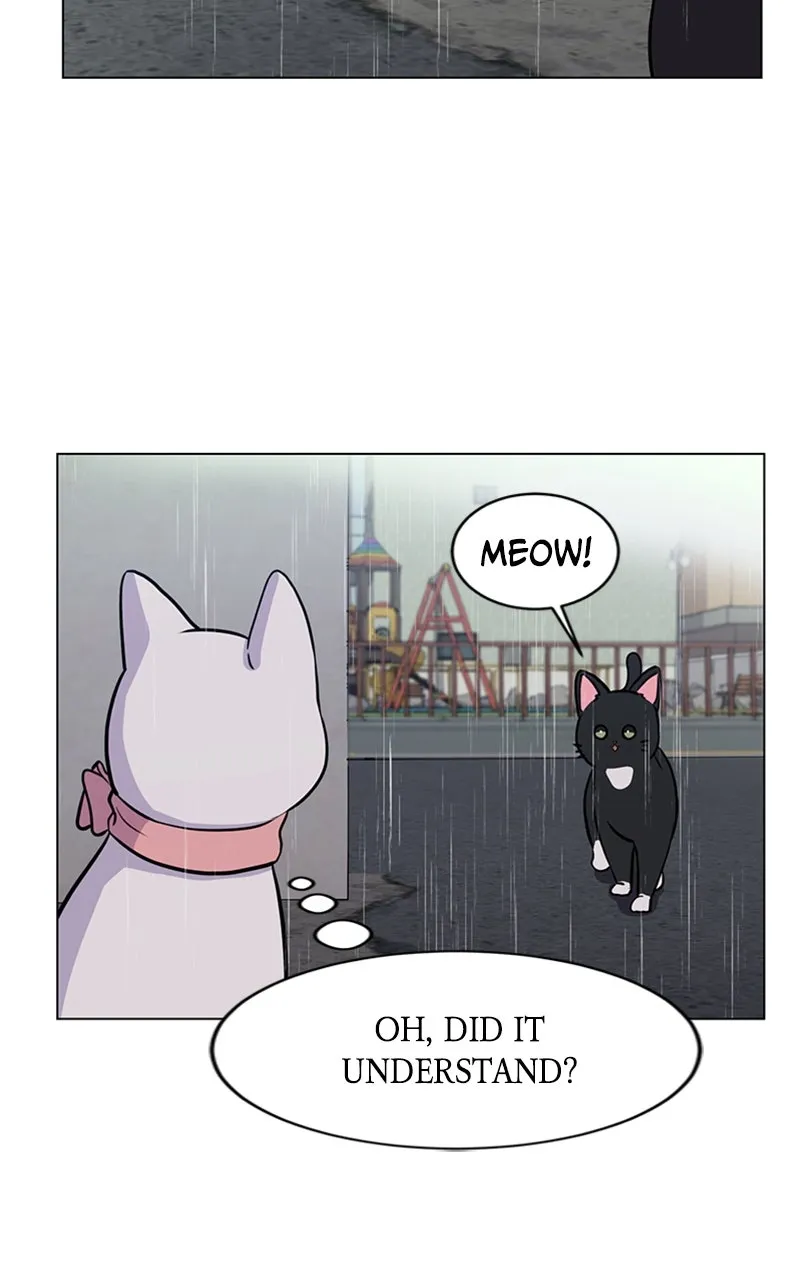 Kiss Meow Chapter 5 page 57 - 