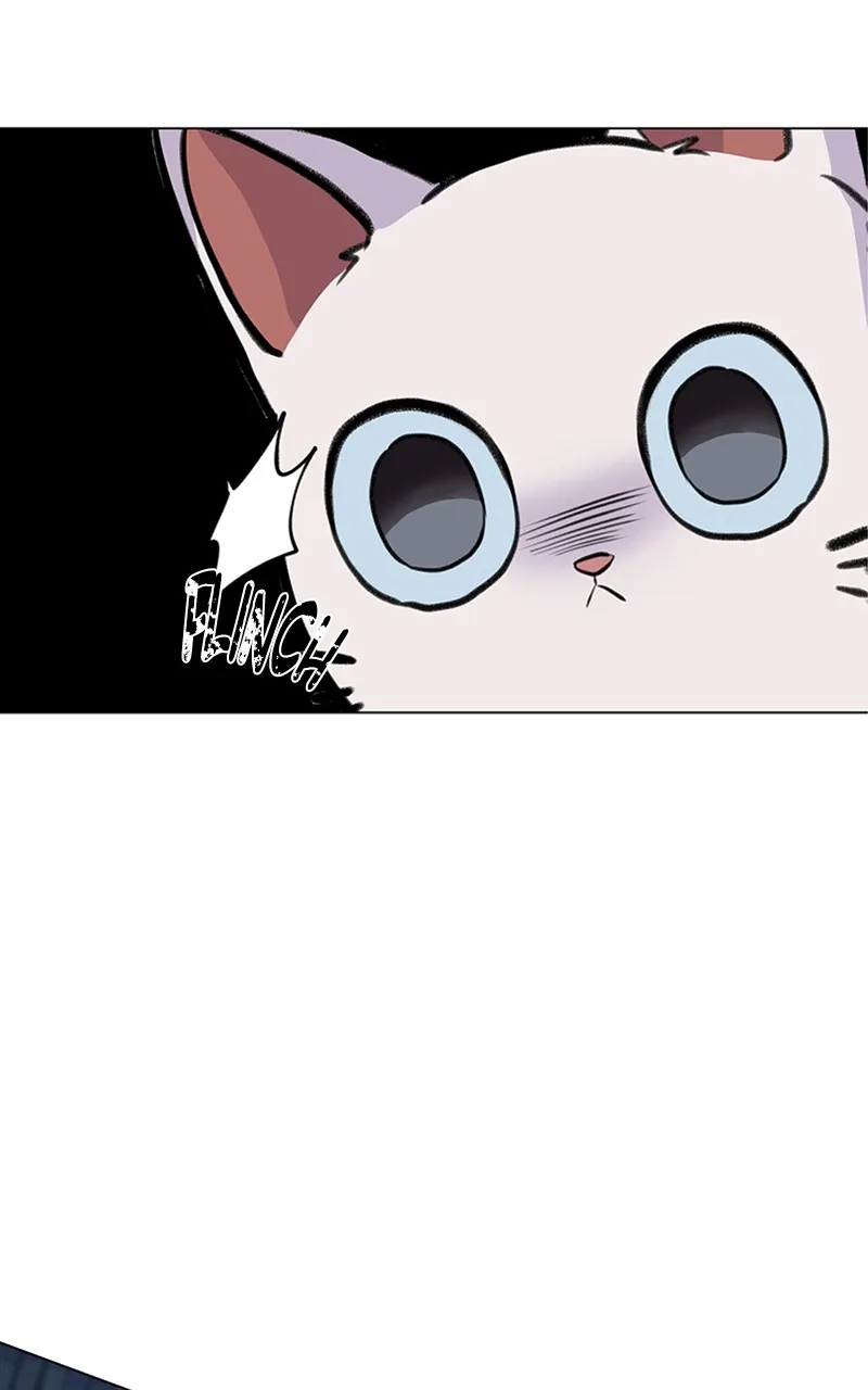 Kiss Meow Chapter 5 page 59 - 