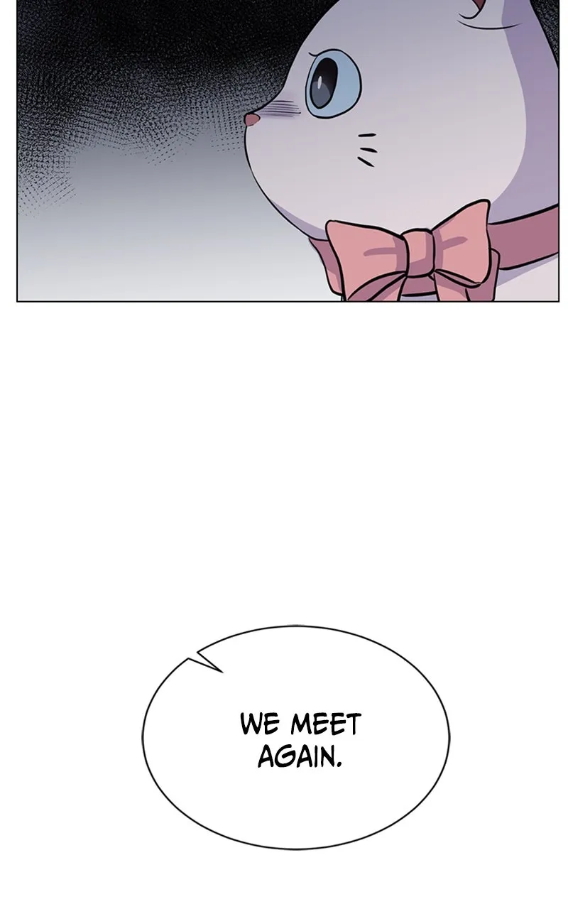 Kiss Meow Chapter 5 page 62 - 