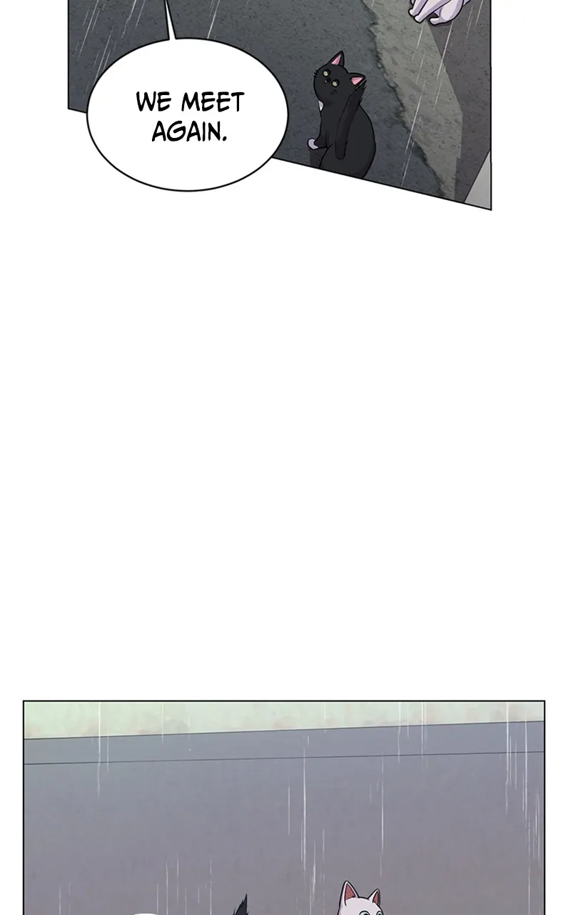 Kiss Meow Chapter 6 page 2 - 