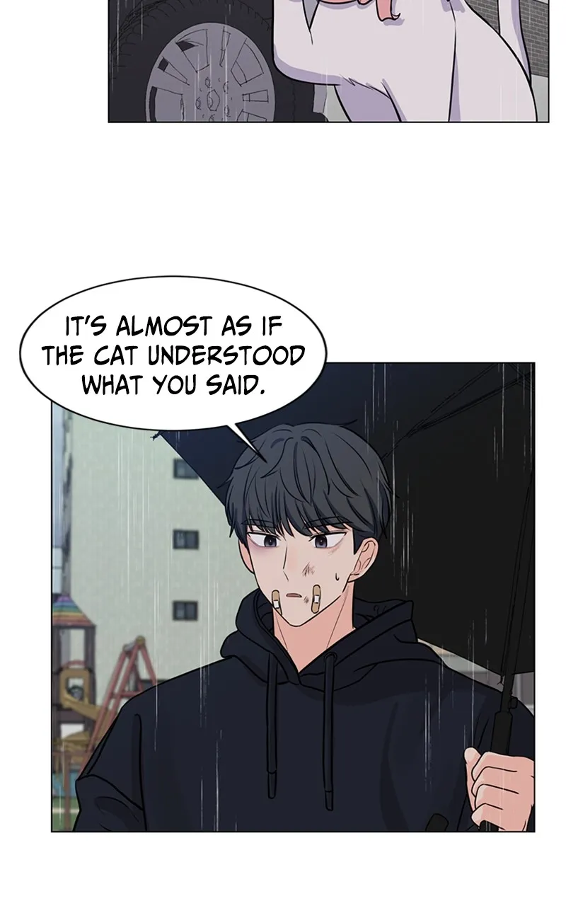 Kiss Meow Chapter 6 page 14 - 