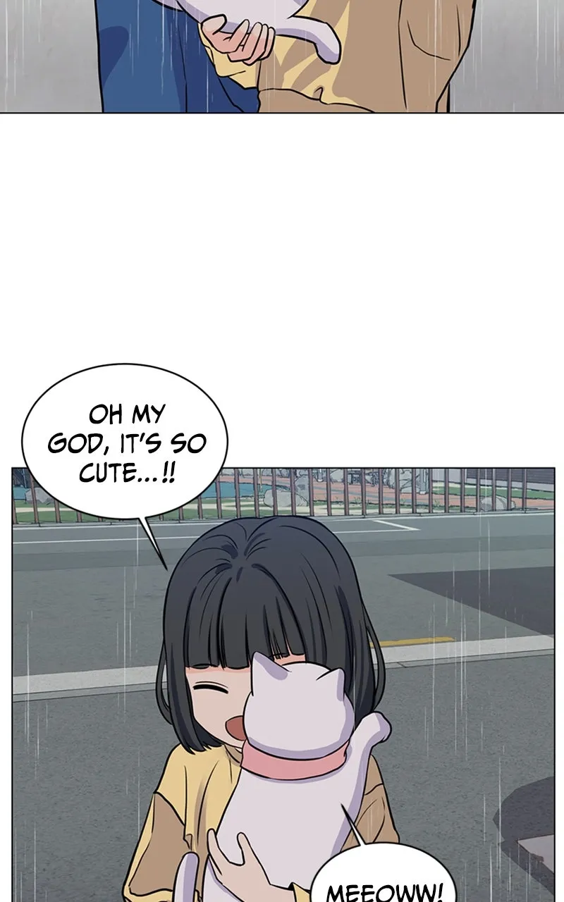 Kiss Meow Chapter 6 page 17 - 