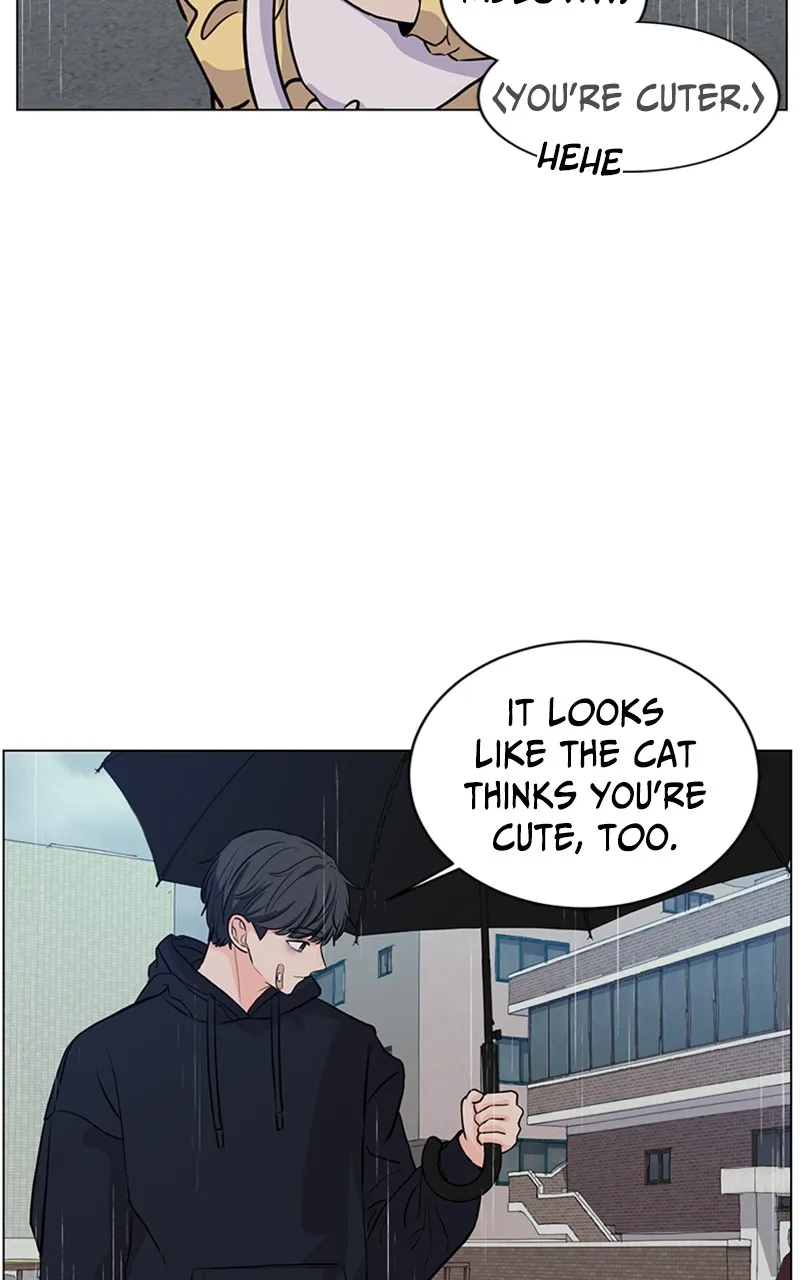 Kiss Meow Chapter 6 page 18 - 