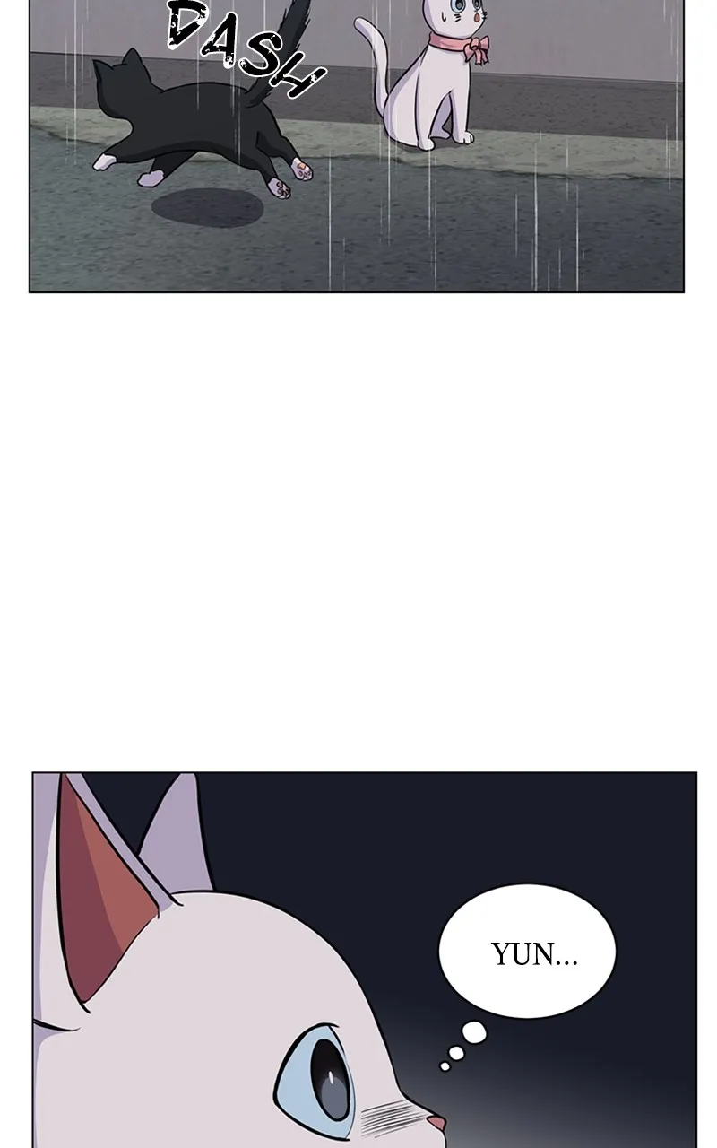 Kiss Meow Chapter 6 page 3 - 