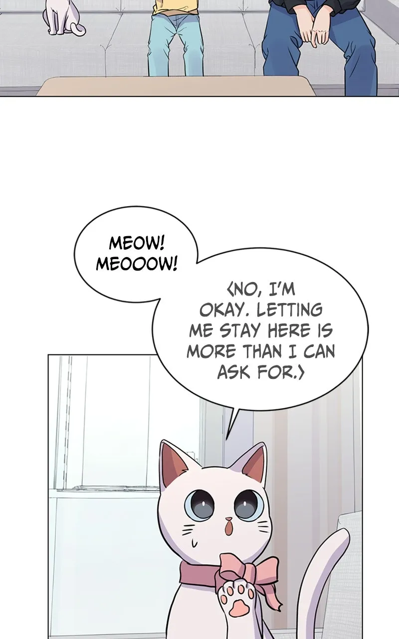 Kiss Meow Chapter 6 page 23 - 