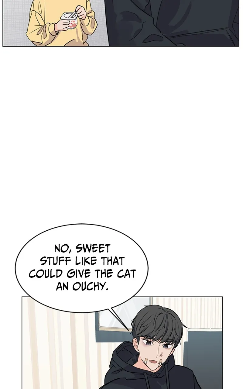 Kiss Meow Chapter 6 page 25 - 