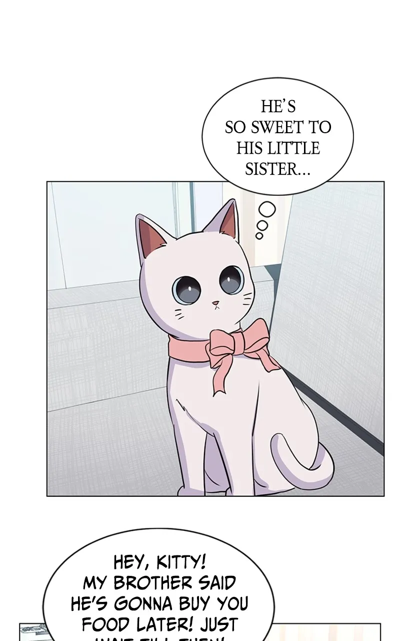 Kiss Meow Chapter 6 page 31 - 