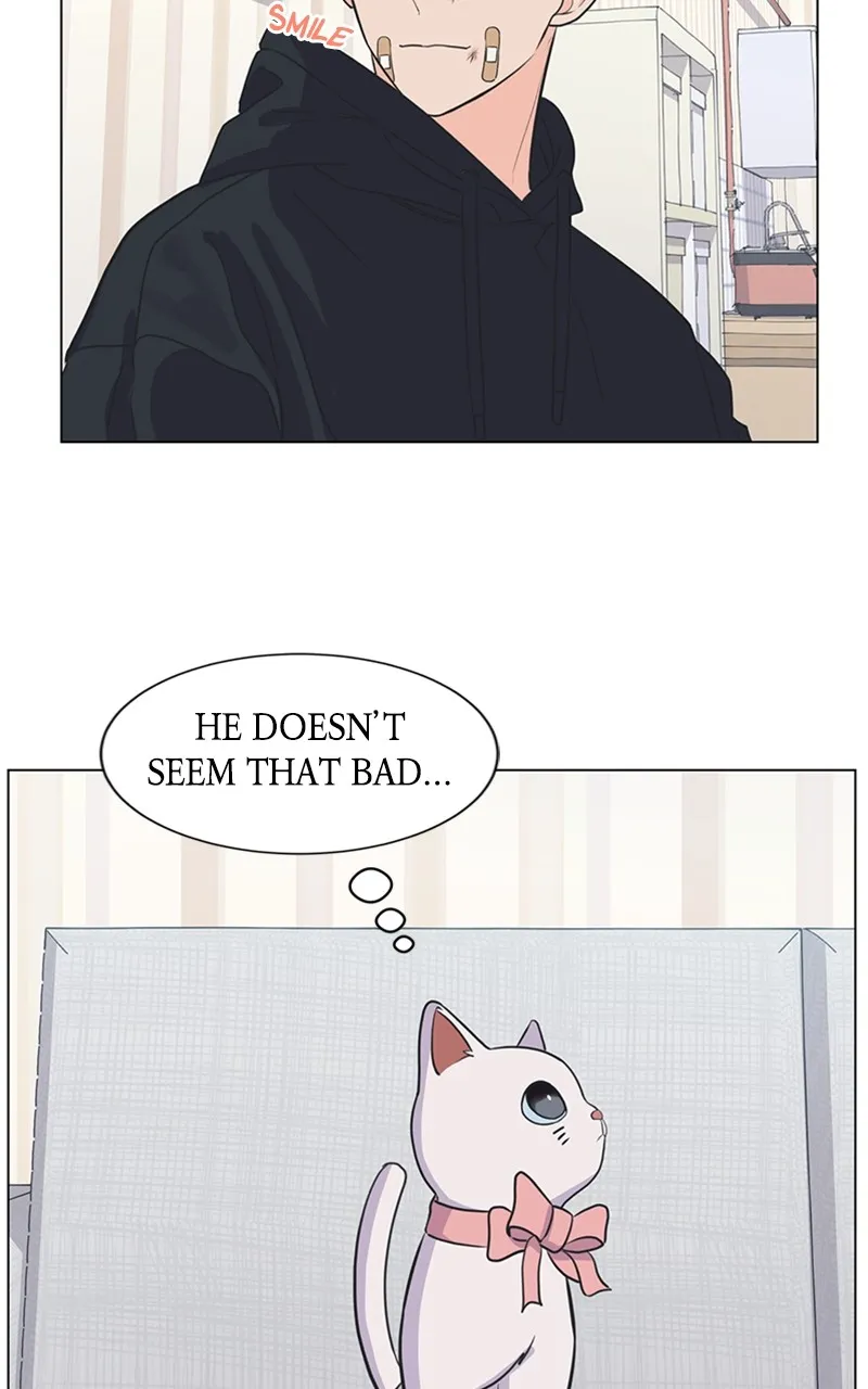 Kiss Meow Chapter 6 page 35 - 