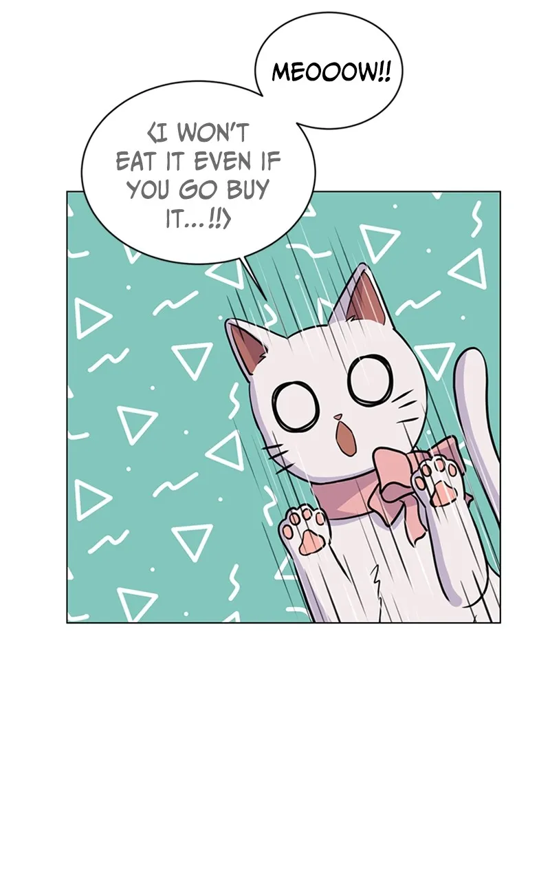 Kiss Meow Chapter 6 page 42 - 