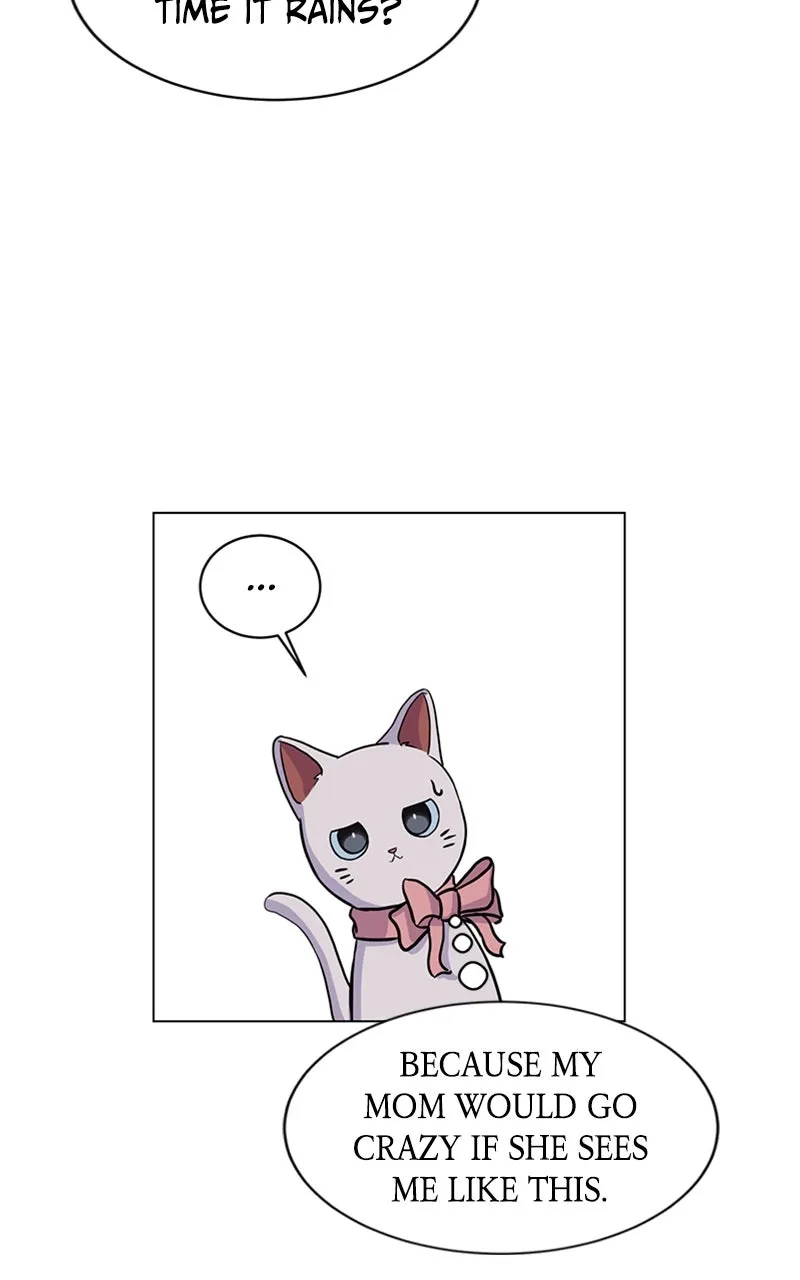 Kiss Meow Chapter 6 page 6 - 