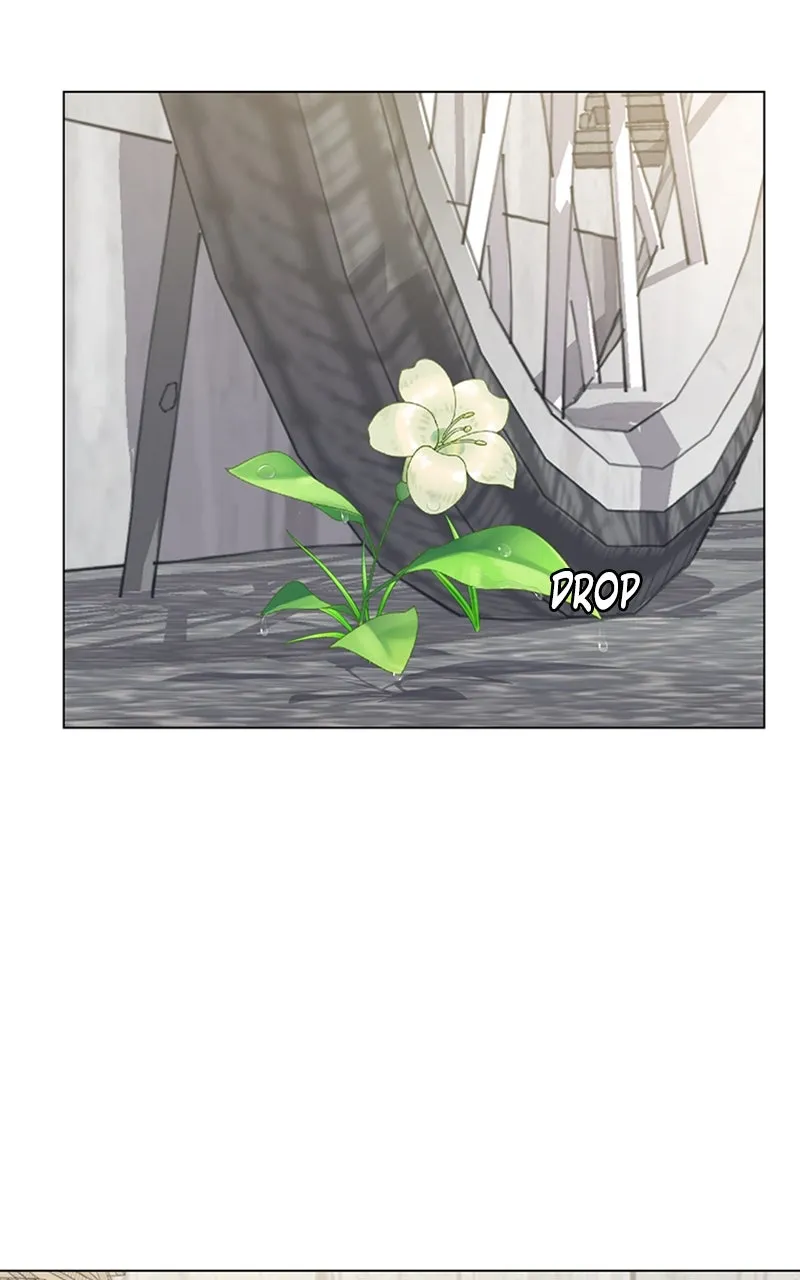 Kiss Meow Chapter 7 page 33 - 
