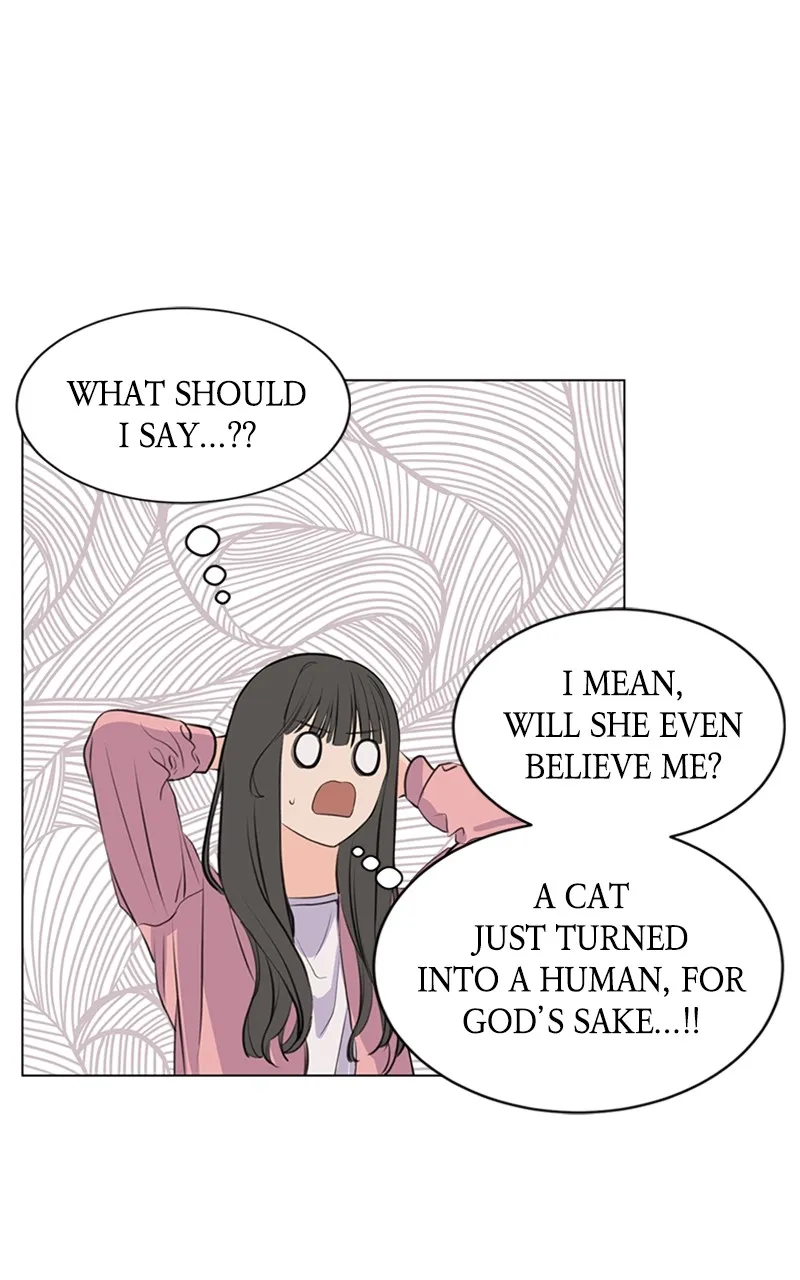 Kiss Meow Chapter 7 page 36 - 