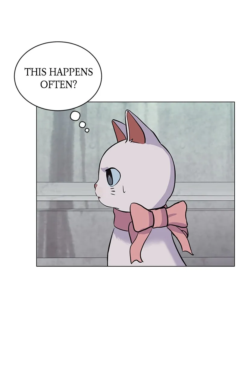 Kiss Meow Chapter 7 page 6 - 