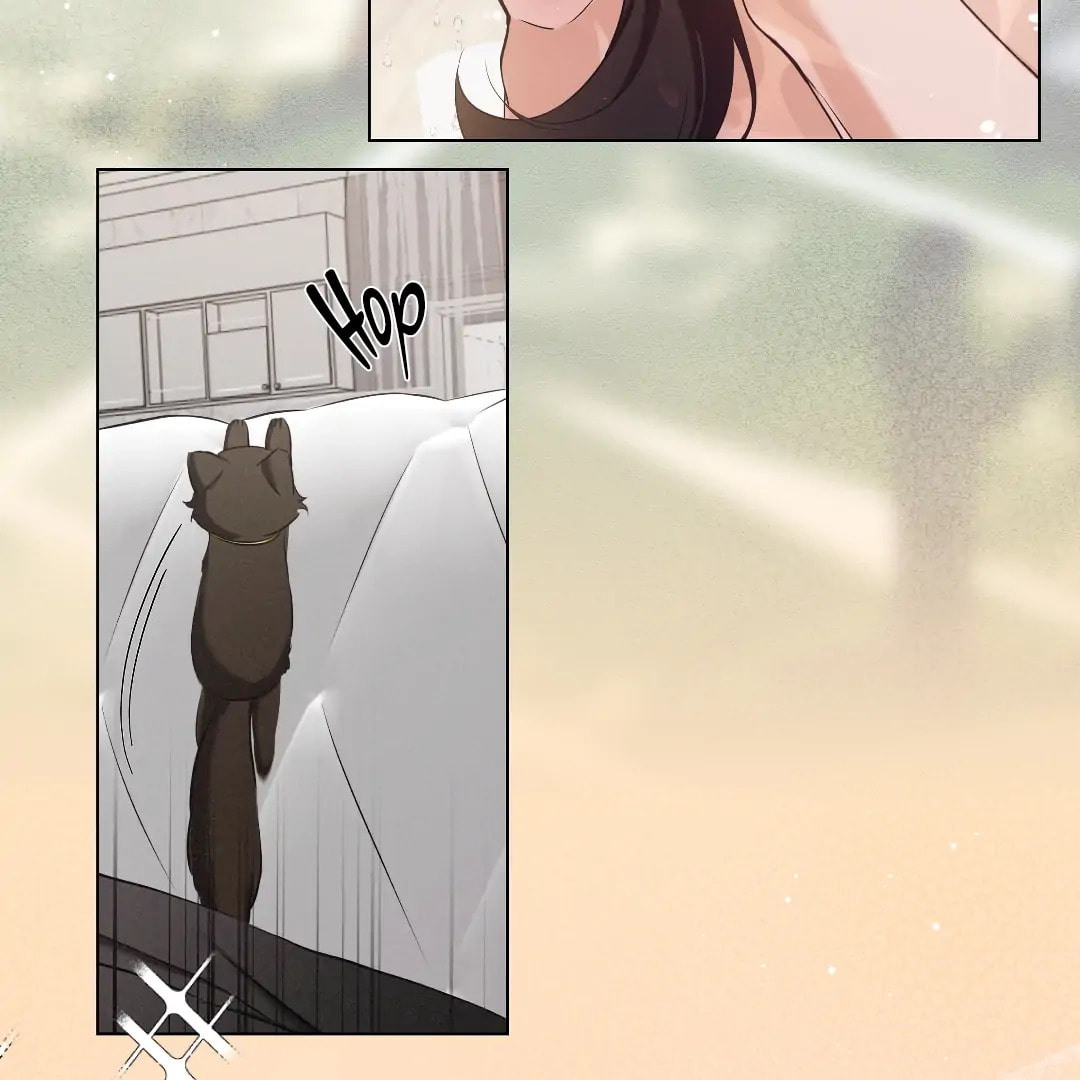 Kitty Therapy Chapter 0 page 3 - 