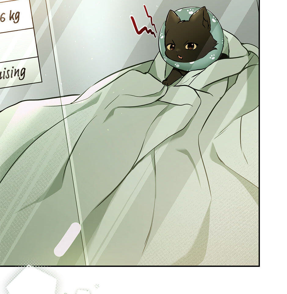 Kitty Therapy Chapter 1 page 101 - 