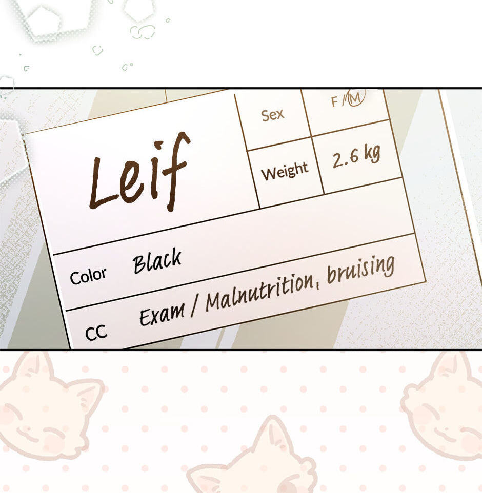 Kitty Therapy Chapter 1 page 102 - 