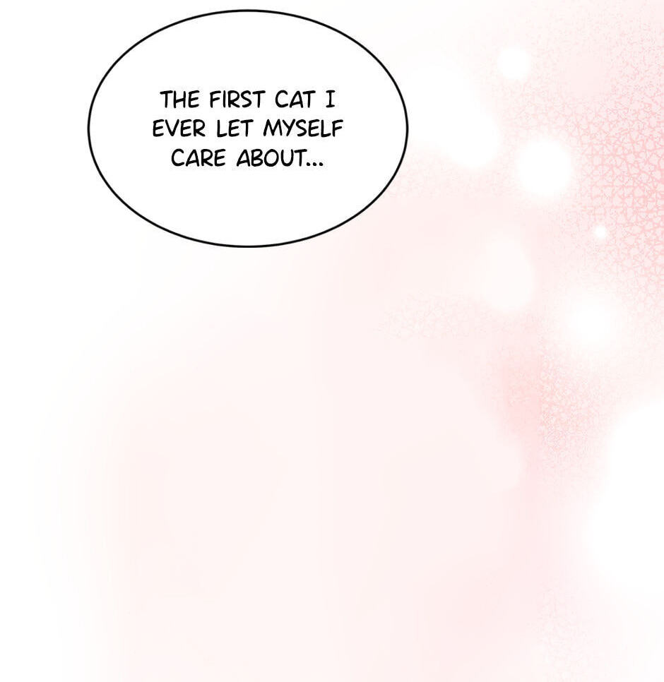 Kitty Therapy Chapter 1 page 16 - 