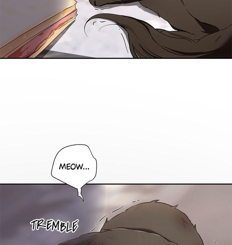 Kitty Therapy Chapter 1 page 62 - 