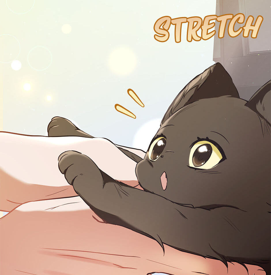Kitty Therapy Chapter 1 page 71 - 