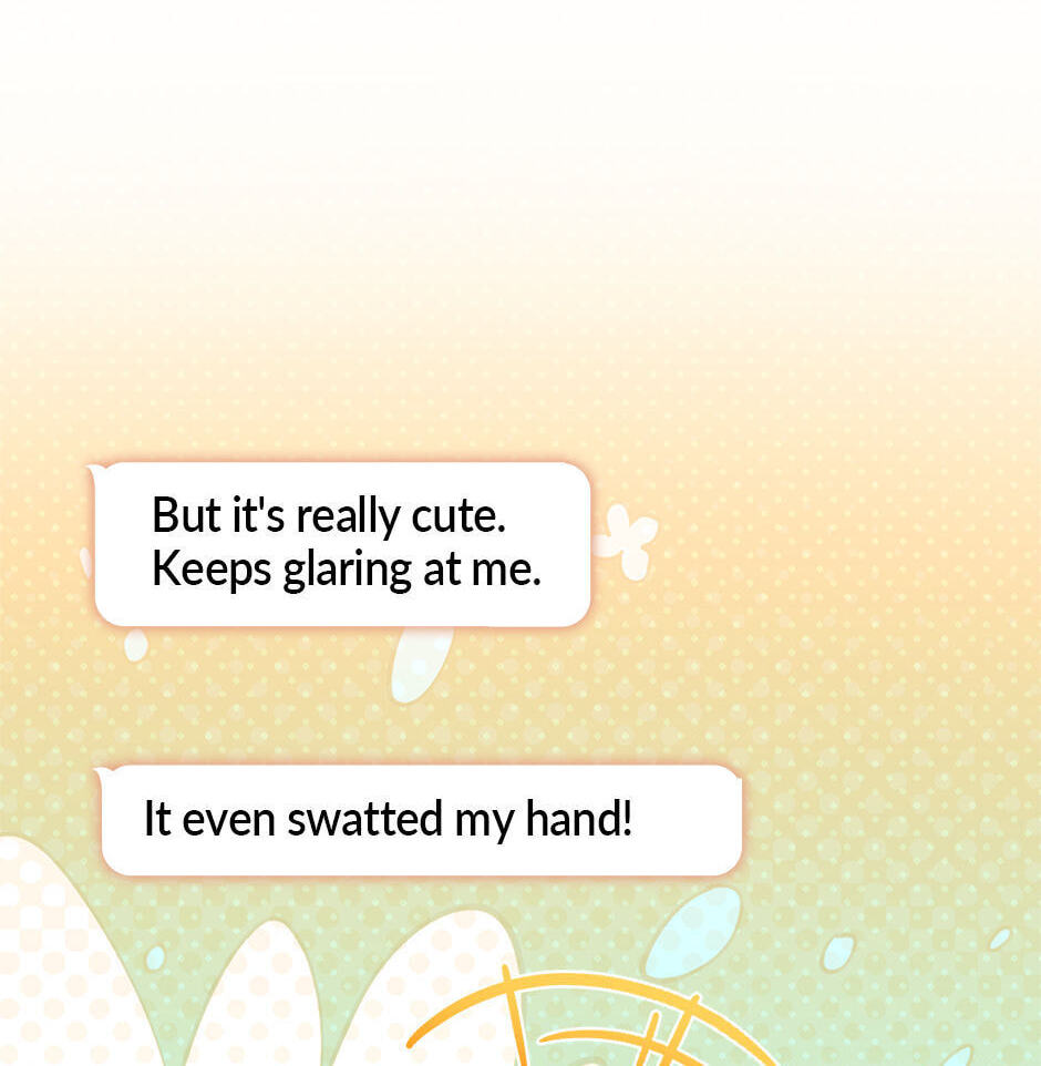 Kitty Therapy Chapter 1 page 94 - 