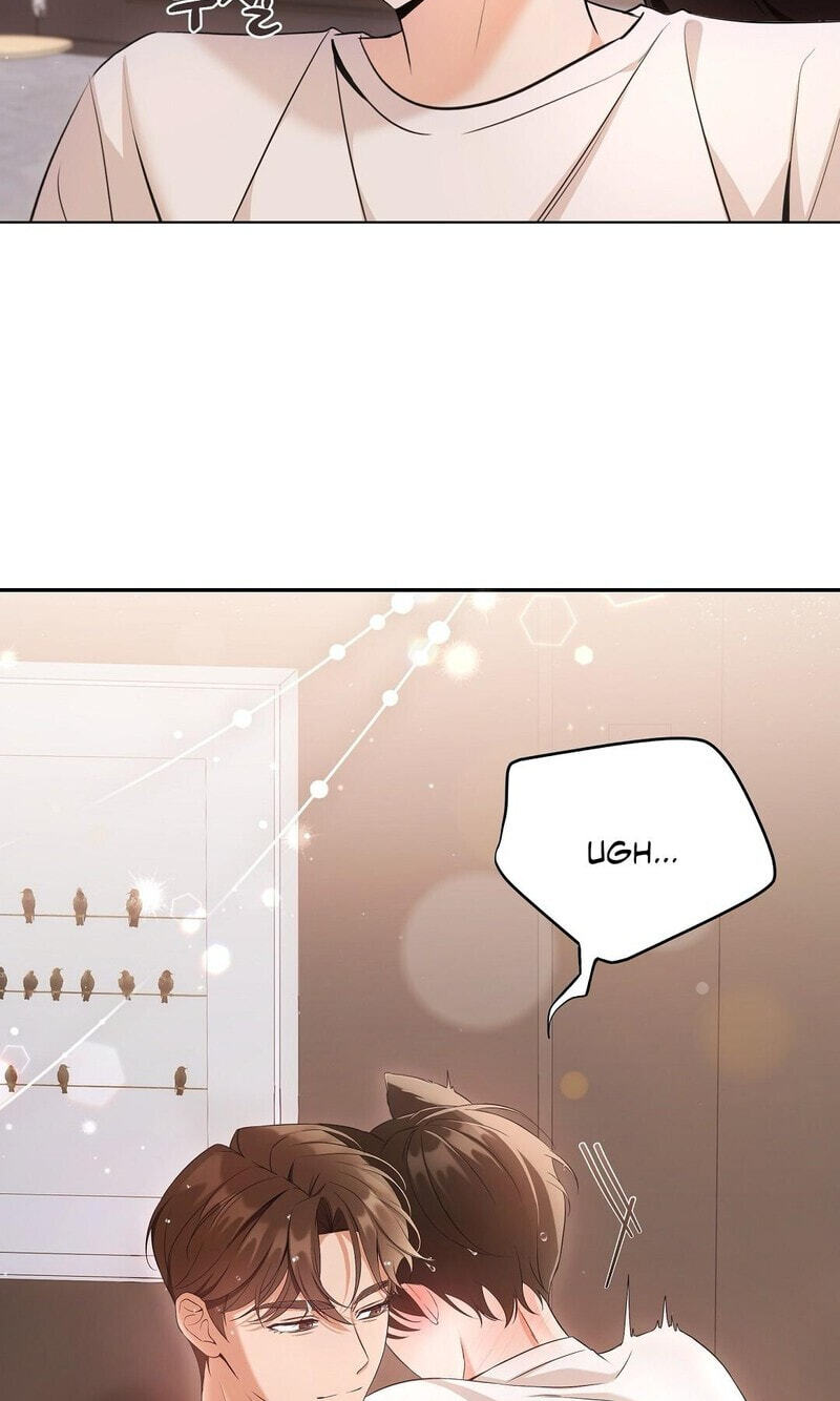 Kitty Therapy Chapter 17 page 35 - 