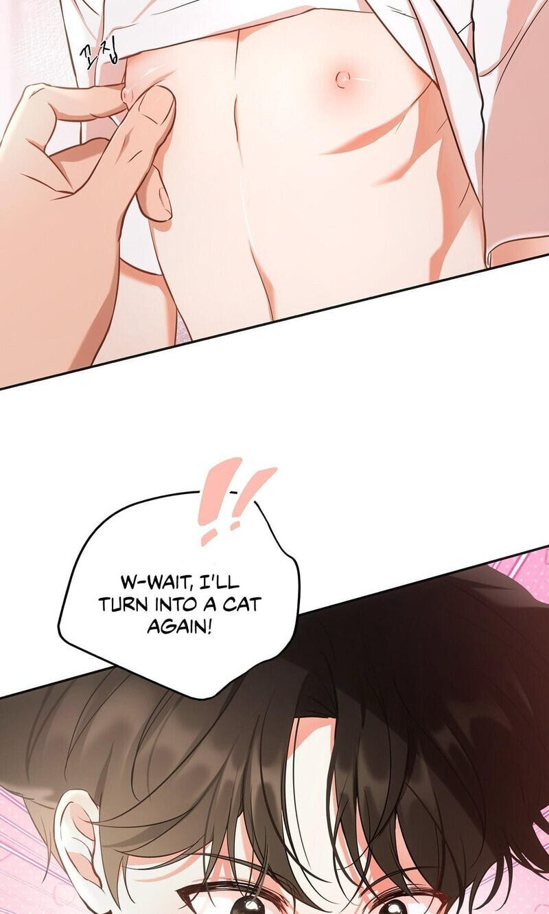 Kitty Therapy Chapter 17 page 54 - 