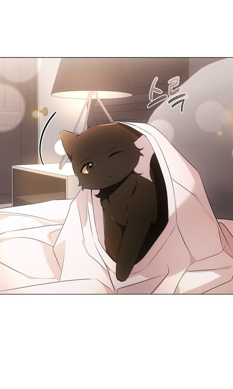 Kitty Therapy Chapter 18 page 37 - 