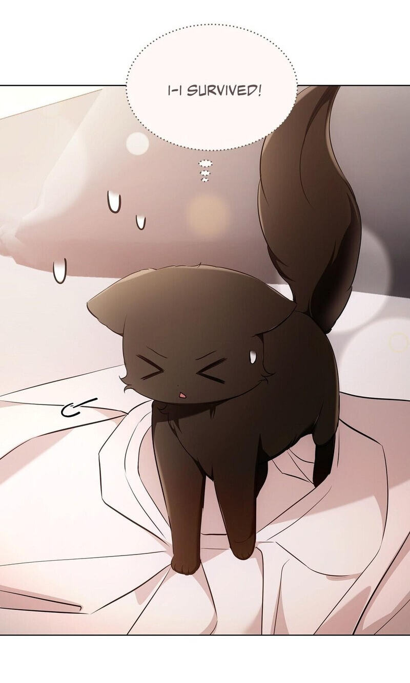 Kitty Therapy Chapter 18 page 38 - 