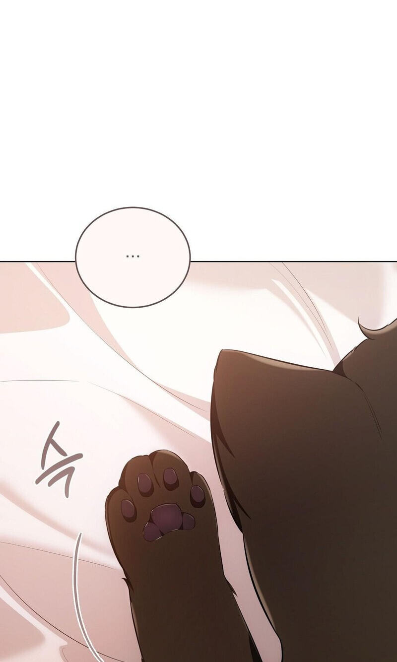 Kitty Therapy Chapter 18 page 40 - 