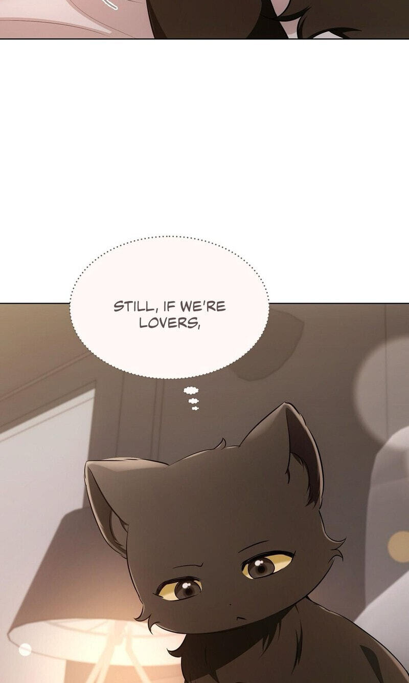 Kitty Therapy Chapter 18 page 41 - 