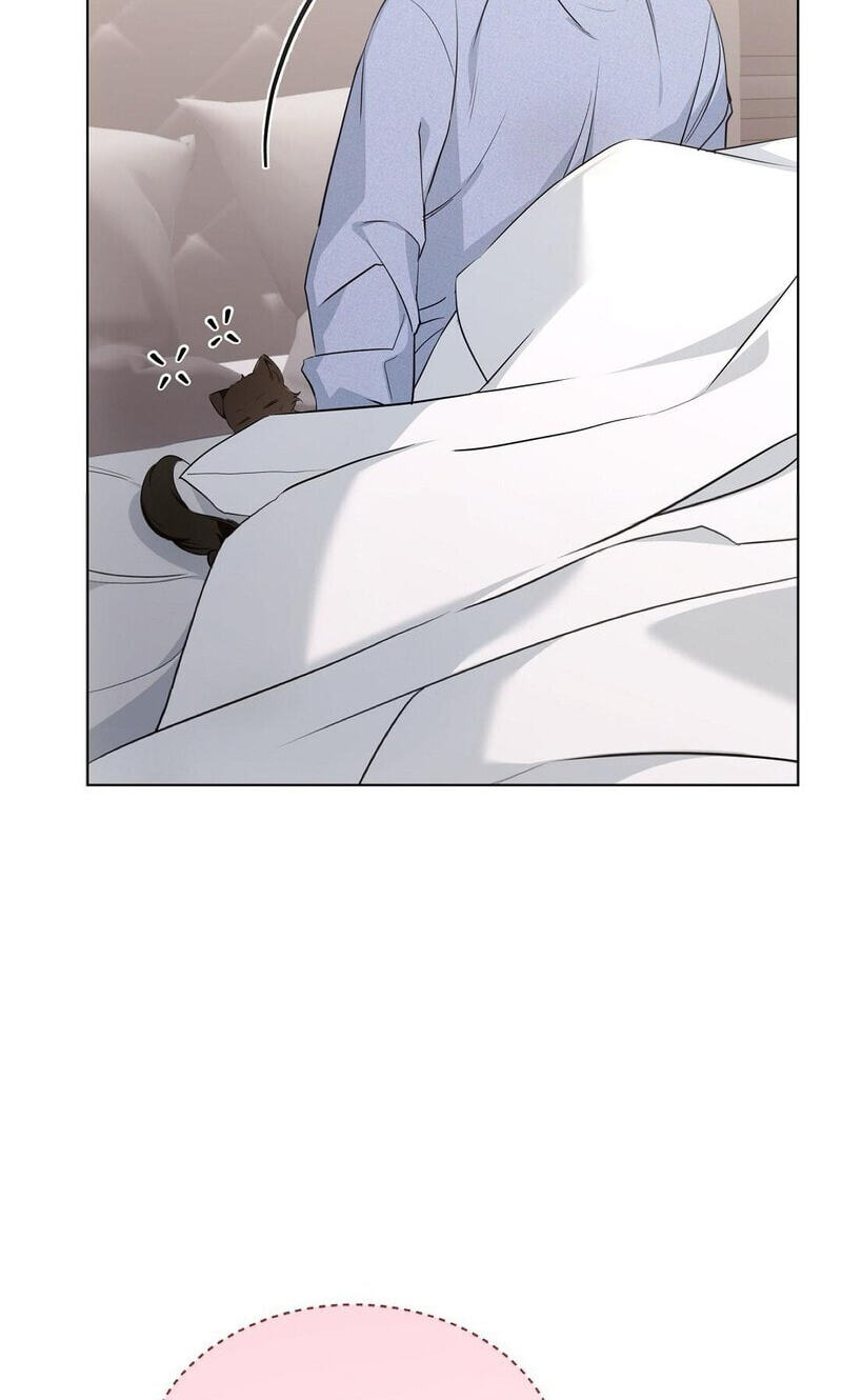 Kitty Therapy Chapter 18 page 48 - 