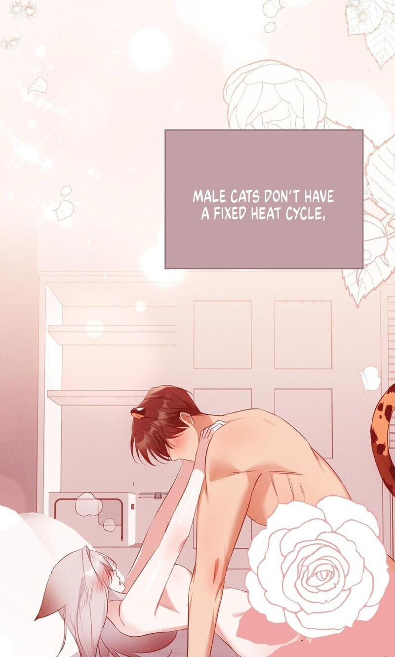Kitty Therapy Chapter 18 page 54 - 