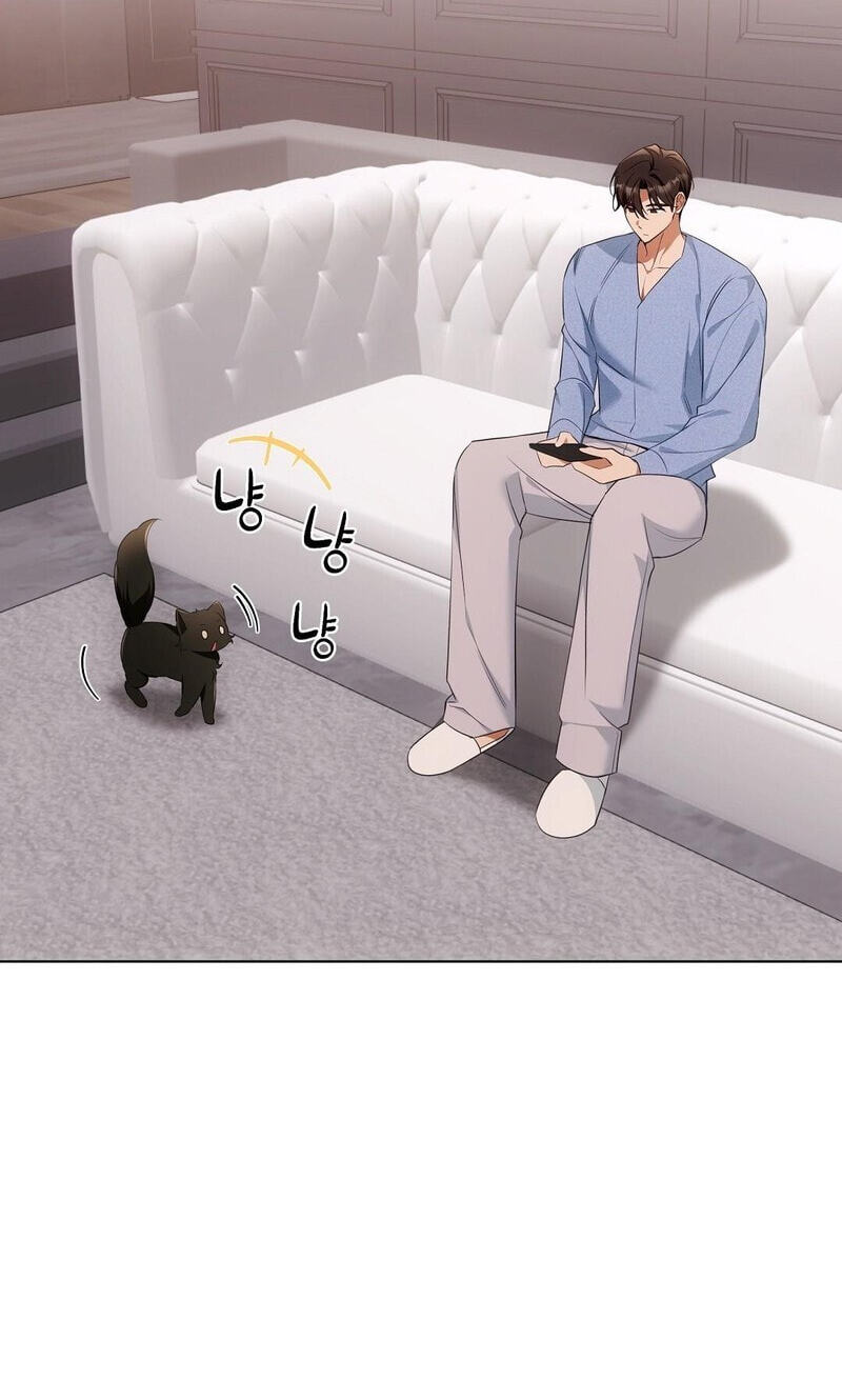 Kitty Therapy Chapter 18 page 66 - 